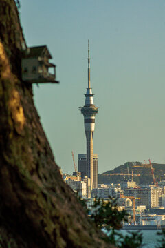 Vogelhaus und Skytower