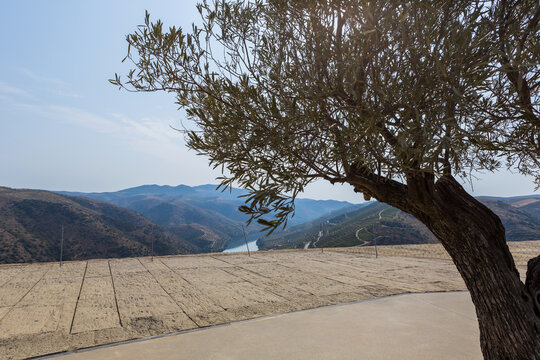 Foz Coa. Douro