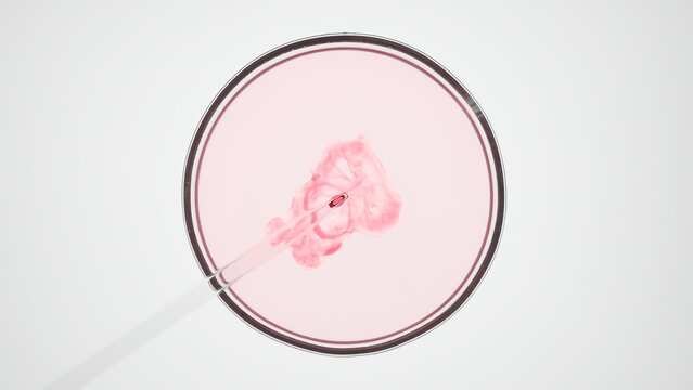 Top view macro shot of lab dropper injects red liquid into light pink one in petri dish on white background | Abstract skincare ingredients mixing concept