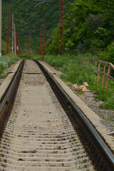 Fototapeta premium Landscape with railroad tracks