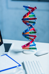 model of dna structure near computer mouse on desk in laboratory.