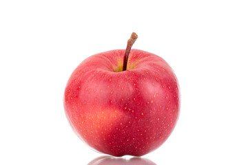 One ripe red apple, macro, isolated on a white background.