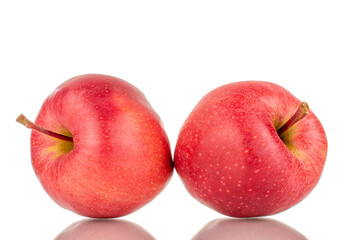 Two ripe red apples, macro, isolated on a white background.