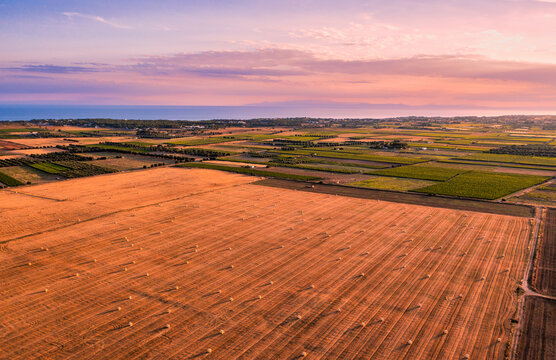 Campo rotoballe puglia