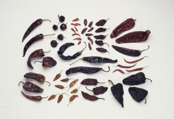 Assorted dried Mexican chilies