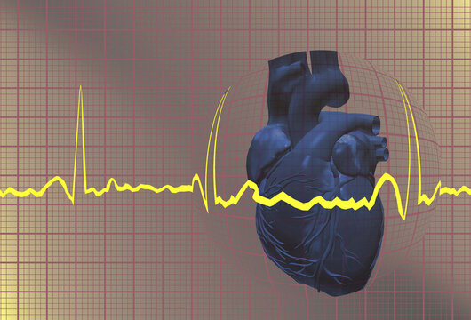 Electrocardiogram over a human heart