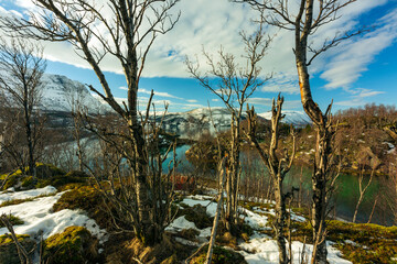 Fiordi Norvegesi,la Lapponia laghi ghiacciati mare,neve e un paesaggio invernale