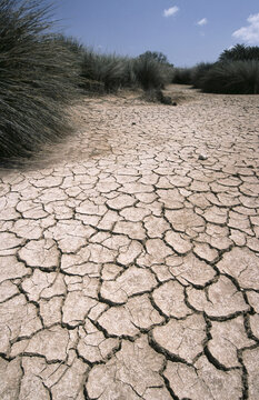 Cracked mud, Crete, Greece