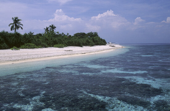 Aerial view of a beach, Bohol, Philippines