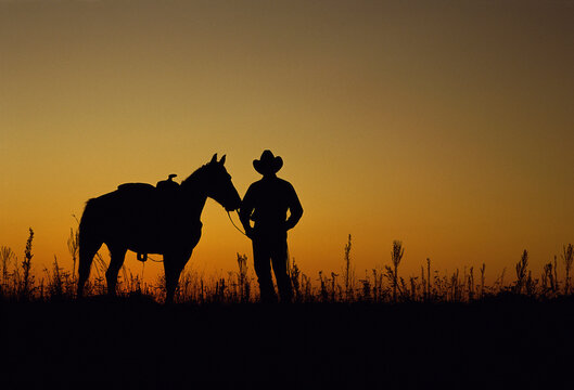 Silhouette of a cowboy and a horse