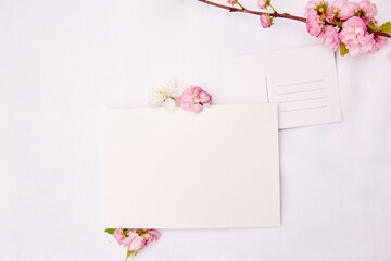 Spring delicate post card with place for address and stationery card mock up with pink and white flowers. Woman's day, invitation, Mother's day, romantic, wedding, birthday, card concept. Copy space.