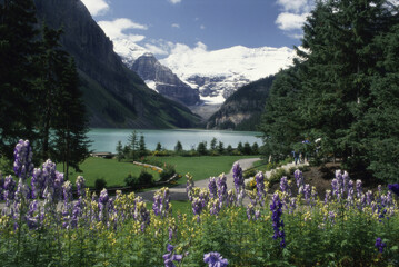 Panoramic view of Lake Louise, Banff National Park, Alberta, Canada