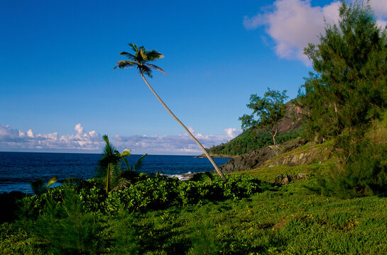 Anse Cimitiere Silhouette Island Seychelles