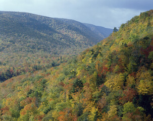 Hillside at Cape Breton Highlands National Park, Cape Breton Island, Nova Scotia, Canada