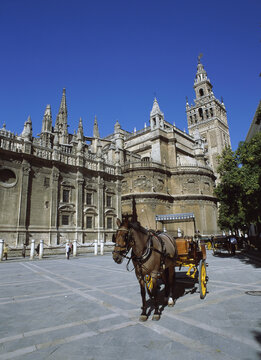 Horse carriage at La Giralda, Plaza del Triunfo, Seville, Spain