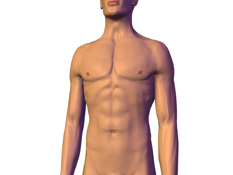 Close-up of the human body