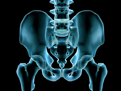 Close-up of an x-ray of a human hip