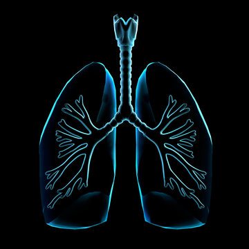 Close-up of an x-ray of human lungs