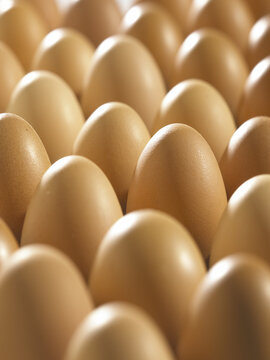 Close-up of eggs