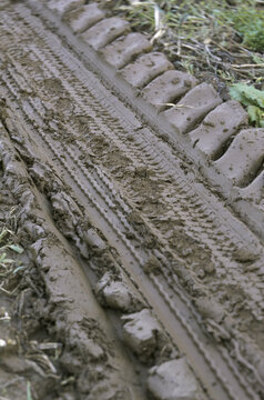 Close-up of tire tracks in mud