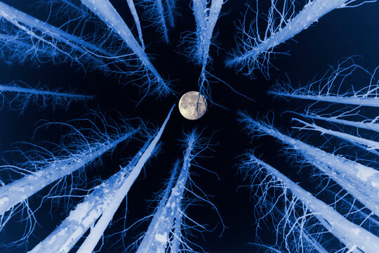 Low angle view of the moon