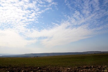 A green field with the first spring grass in the vast expanses of the plain under a gentle blue sky