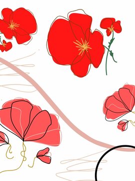 poppies and flowers