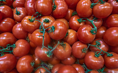 Tomato on the vine exposed in supermarket
