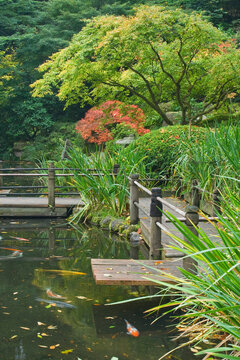 Trees with a pond in a garden, Japanese Garden, Portland, Oregon, USA