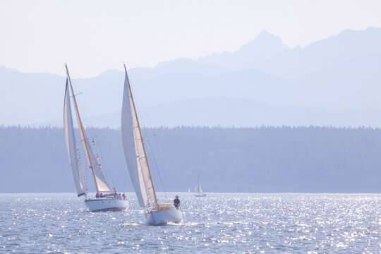 Sailboats racing in the ocean, Port Townsend, Washington State, USA