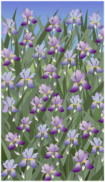 Iris Congregation 2003 Linda Braucht (20th C. American) Computer graphics