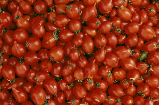 Close-up of a heap of tomatoes