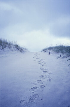 Footprints in the sand