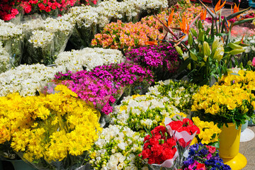 Fototapeta na wymiar colorful local flowers market. beautiful botany background