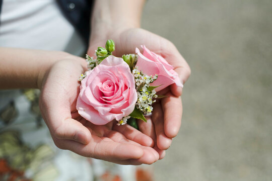 Close-up of a person's hands holding roses