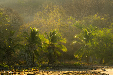 Sunrise on a black sand beach at Papagayo Bay.