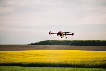 Fototapeta na wymiar Agriculture drone flying on the green tea field at sunrise
