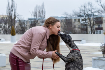 a pretty blonde girl in a pink leather jacket and a burgundy skirt trains a whippet dog in the city
