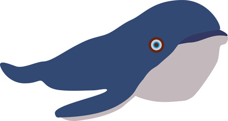Vector Flat Whale Design Art Illustration