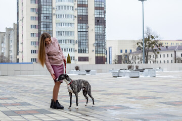 a beautiful brown-haired girl stands and holds a whippet dog on a leash in the city