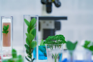 Microscope and young plant in science test tube , lab research biochemistry , biotechnology concept - 496375911
