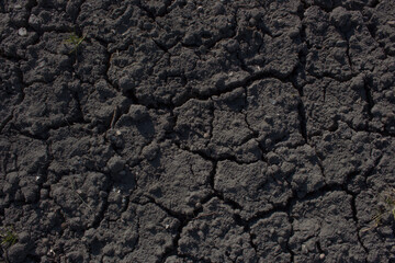 
Dry cracked earth. Drought. Texture background