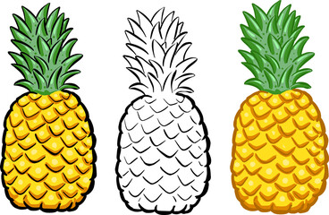 Cartoon Style Pineapple Fruit Outline and Colour Versions Illustration Vector