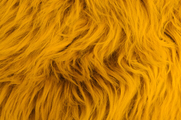 Gelb Orange Fell Faser Haare Wolle Farbe weich abstrakt Hintergrund schön gefärbt dekorativ