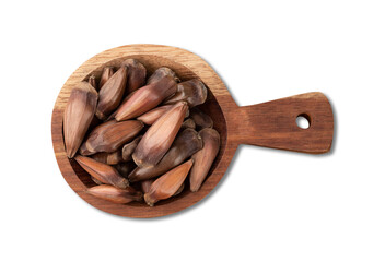 Pine tree seed, typical brazilian june festival food isolated over white background