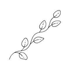 Branch with leaves line art. Floral summer plant. Green foliage. Hand drawn vector illustration. Natural leaf. Botanical element. Doodle symbol. Spring garden of natural herbs. Ink graphics.