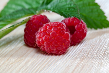 red ripe raspberries and green raspberry foliage