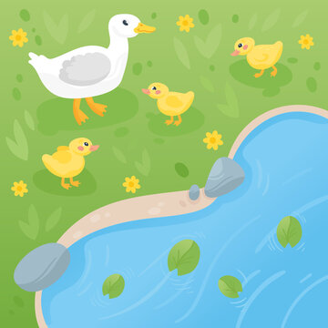Duck and ducklings on the lake. Cute mother duck and yellow babies birds walking on green grass, hand drawn vector illustration