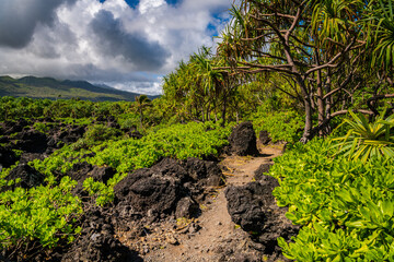 A hiking trail curves through lava rocks and palm trees under a storm clouds in Waiʻanapanapa State Park, Maui