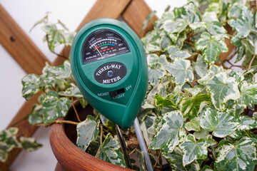 A house plant with a light, moisture and PH meter